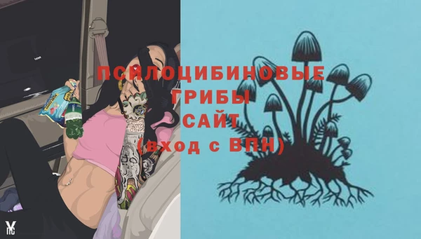 бошки Заводоуковск