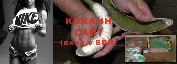 бошки Заводоуковск