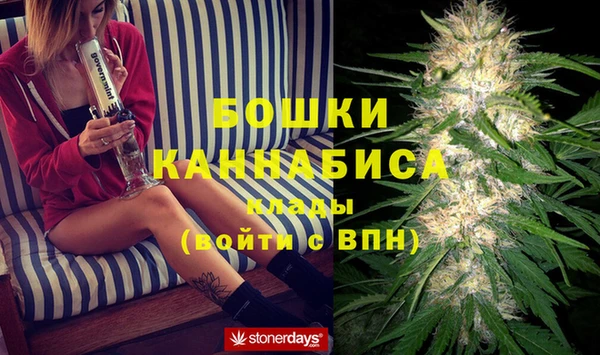 бошки Заводоуковск