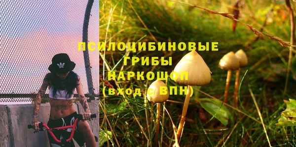 эйфоретик Зерноград
