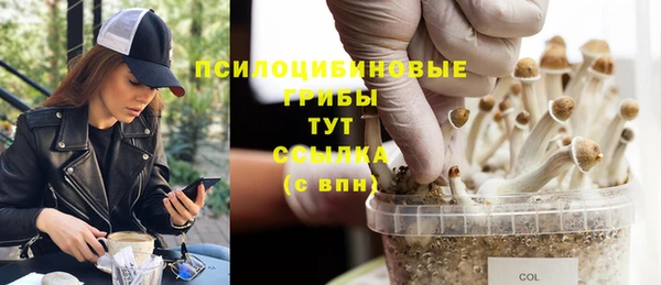 бошки Заводоуковск