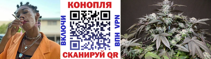 Купить закладки  Заречный  МАРИХУАНА семена 